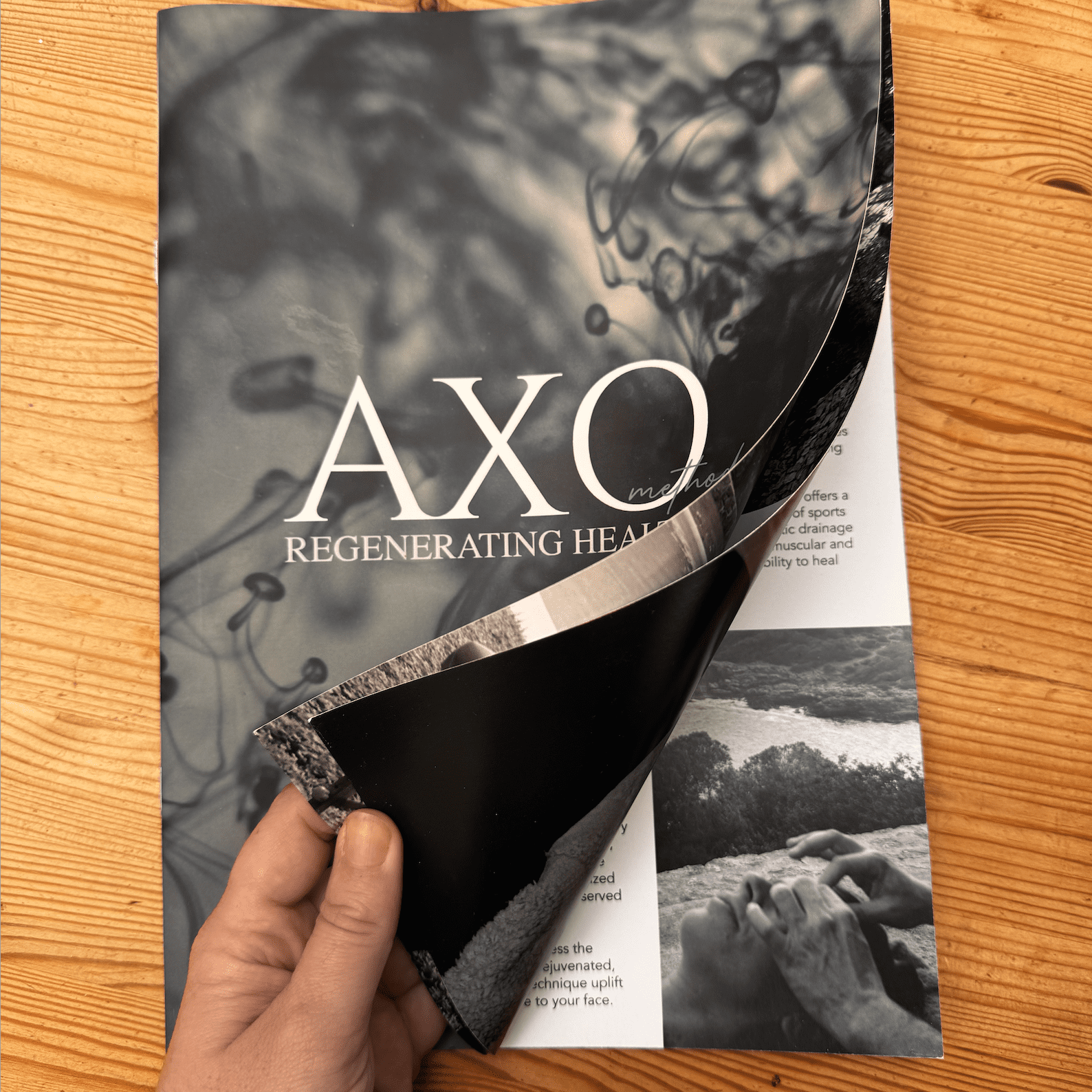 Brochure