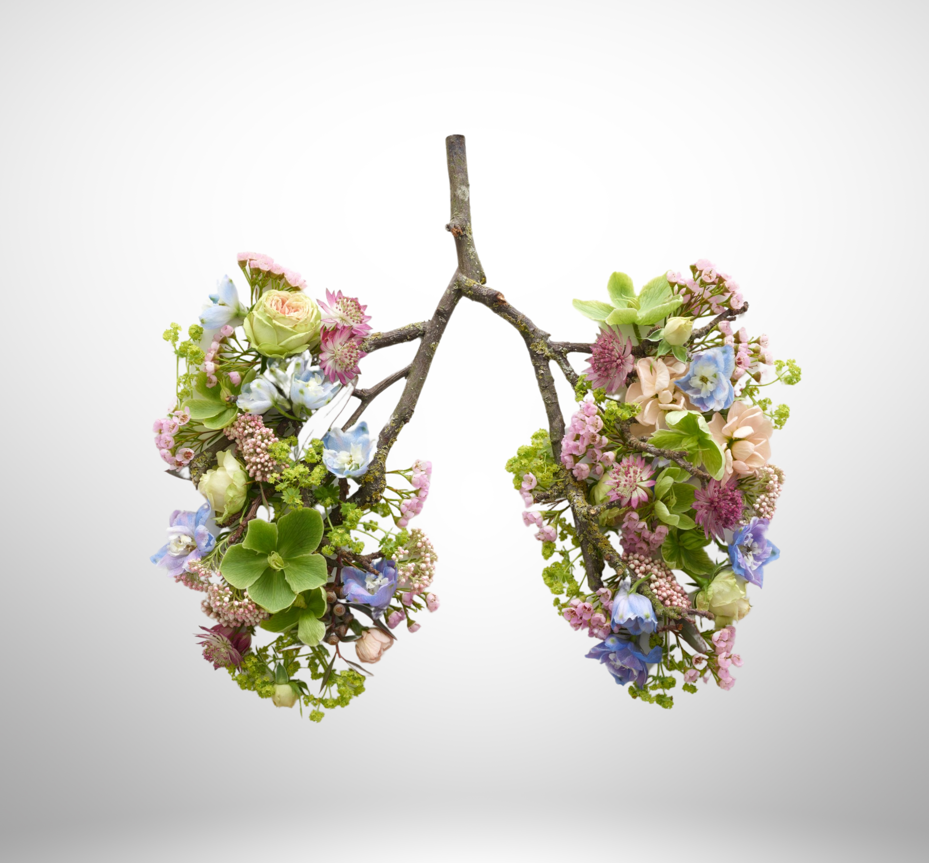 Floral pulmonary illustration